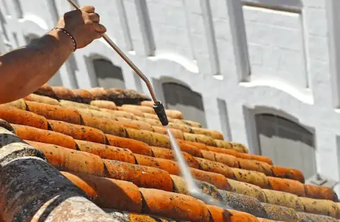 Nettoyage de toitures - Rohrbach-lès-Bitche